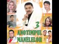 Sorin Copilul De Aur Si Jean De La Craiova Sunt Mare Gagicar Audio Oficial