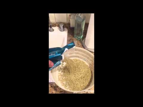 download lagu mp3 mp4 Argentine Lentil Stew, download lagu Argentine Lentil Stew gratis, unduh video klip Argentine Lentil Stew