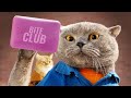 Bite Club von AaronsAnimals vor 2 Monate Bite Club von AaronsAnimals vor 2 Monate