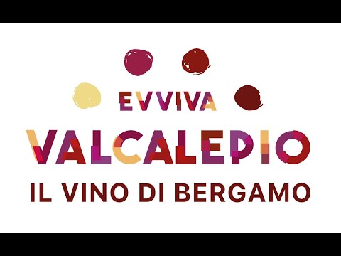 Evviva Valcalepio 2025