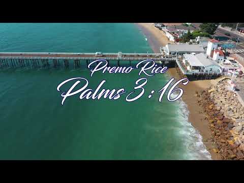 Premo Rice - Palms 3:16