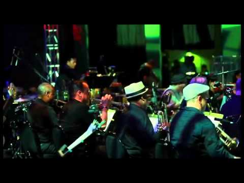 Steroid Maximus - Gawker live