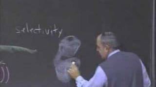 Lec 31 | MIT 7.012 Introduction to Biology, Fall 2004