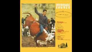 Tears O' Plenty - Parquet Courts