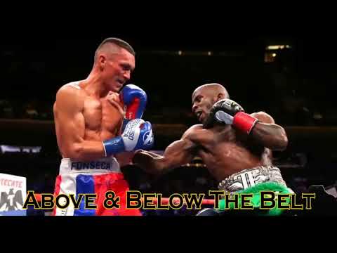 TEVIN FARMER VS FRANCISO FONSECA FIGHT