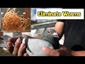 Boost Your Racing Pigeons’ Health: Secret Garlic Remedy to Eliminate Worms!