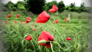 Delerium - Remembrance