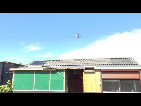 lot konkursowy 12 05 2018 001