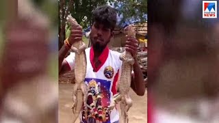 ടിക് ടോകില്‍ ആളാകാൻ യുവാക്കളുടെ വന്യമൃഗവേട്ട; വലഞ്ഞ് വനംവകുപ്പ് | Tamil Nadu video