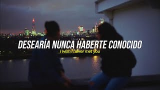 Simple Plan - P.S. I Hate You (Sub Español + Lyrics)