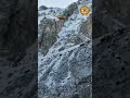 MONTAGNA: TRE VITTIME SUL GRAN SASSO, DUE ESCURSIONISTI RECUPERATI