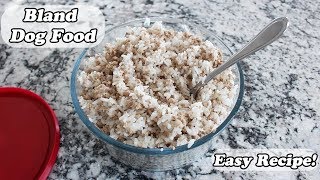 Easy Bland Dog Food Recipe! | For GI Upset