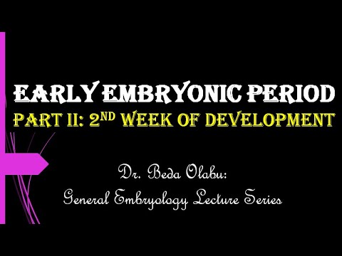 IMPLANTATION & THE 2ND WEEK OF HUMAN EMBRYONIC DEVELOPMENT