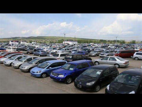 Used Car Dealers Tampa Dial - (813) (374 8972)