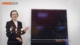 Moregosolar Company Show