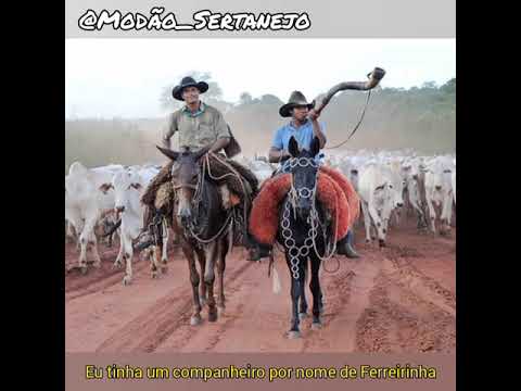 Tião Carreiro e Pardinho - Morte de Ferreirinha (LETRA)