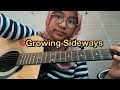 Growing Sideways - Noah Kahan (acoustic cover)