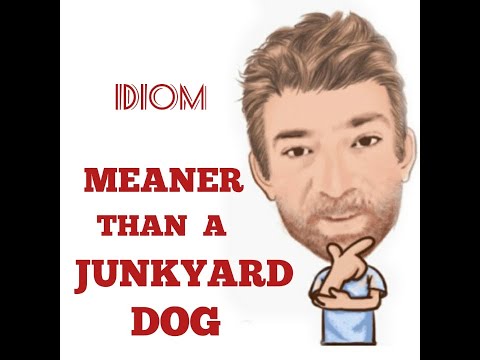English Tutor Nick P Idioms (433) Meaner Than a Junkyard Dog