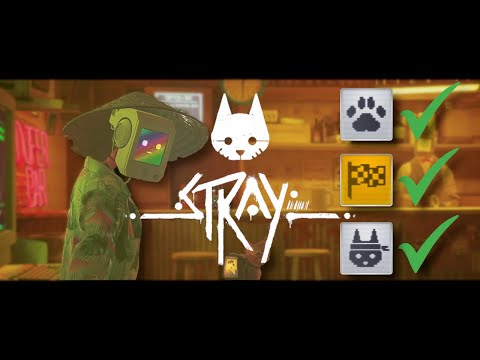 Jogo: Stray na Steam