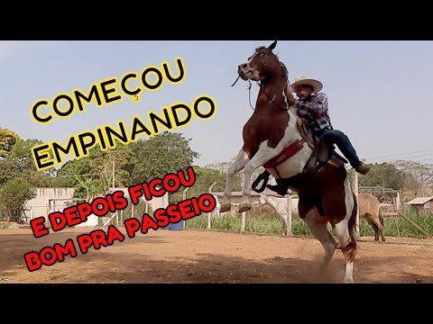 How to stop a horse from rearing up. What no one has shown you about a horse that rears up.