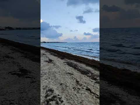 Videos de El Beso Adults Only At Ocean Coral  Turquesa 5★ en Puerto Morelos, México
Ver Más
Ver
Precios
19
Cerrar
Consulta por Whatsapp 🇦🇷
Booking
Tripadvisor
Expedia
Agoda
Travelocity
Orbitz
Priceline
Trip
Skyscanner
Despegar
Kayak
Hoteles
Bestday
Destinia
Almundo
Lastminute
Cheaptickets
Tui
Wotif
