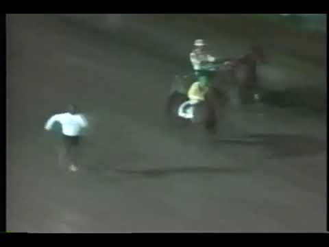 Ben Johnson vs Horse