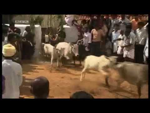 Matthias Seling - Shock TV Folge 1 ( 2/3 )