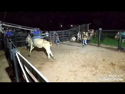 Touro cobra da cia rancho do vale