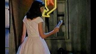 Bài hát The Fool's Paradise - Nghệ sĩ trình bày Puriti