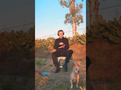 Dub Dynasty - Rig Veda Dubplate Live Mix (Alpha Steppa x Alpha & Omega)