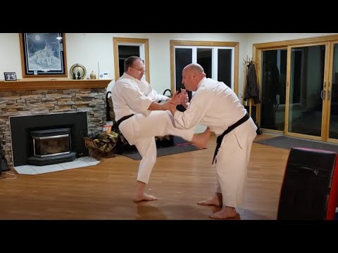 Home Shotokan Karate Training - March 3 2021 - University of Minnesota Shotokan Karate Club