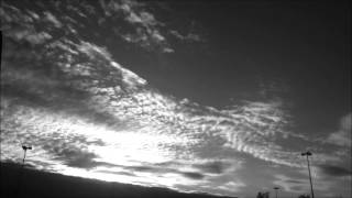 Breakers - Local Natives (Fan Made Music Video)