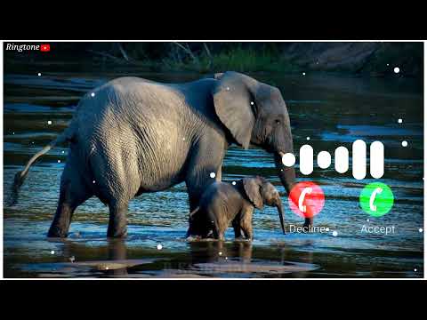 Adio-mesej-rington Mp4 3GP Video & Mp3 Download unlimited Videos Download - Adio-mesej-rington Mp4 3GP Video & Mp3 Download unlimited Videos Download -