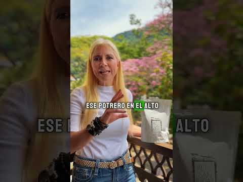 ¿A qué sabe Salgar? - Cafe Alto San Judas