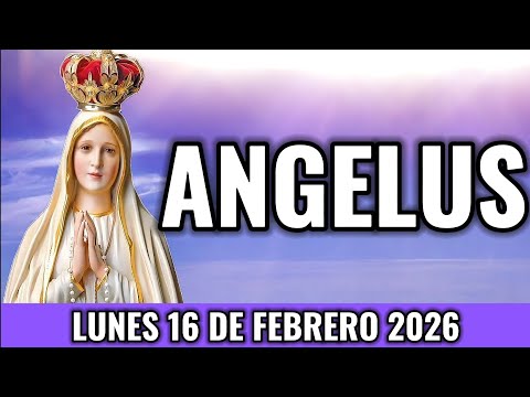 Today's Angelus. Monday, February 16, 2026