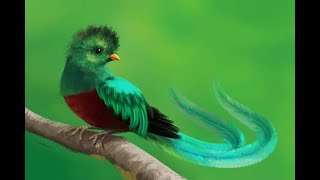 Download lagu KICAUAN burung alam liar paling indah dengan aliran air untuk terapi, rileksasi,ketenangan #4 mp3 Download lagu KICAUAN burung alam liar paling indah dengan aliran air untuk terapi, rileksasi,ketenangan #4 mp3