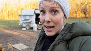NO CLEANING...How Our Beautiful Chicken Coop Doesn't Smell!!