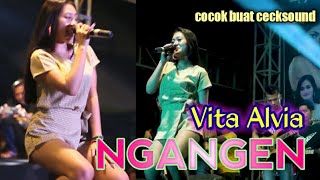 Download lagu Vita Alvia _ NGANGEN  ||| OM VIA RDD Live sumbersari mp3