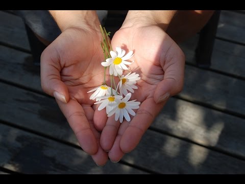 Listen to: Read the Bible in a Year, Day 283 (Matthew 25 - 26)