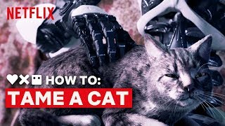 LOVE DEATH + ROBOTS | How to Tame a Cat | Netflix