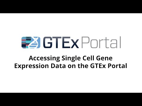 GTEx Portal: Accessing Single Cell Gene Expression Data on the GTEx Portal (2022)