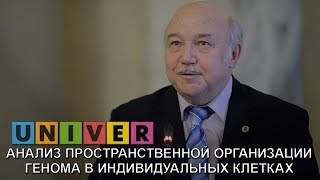 Сергей Разин. Анализ пространственной организации генома в индивидуальных клетках