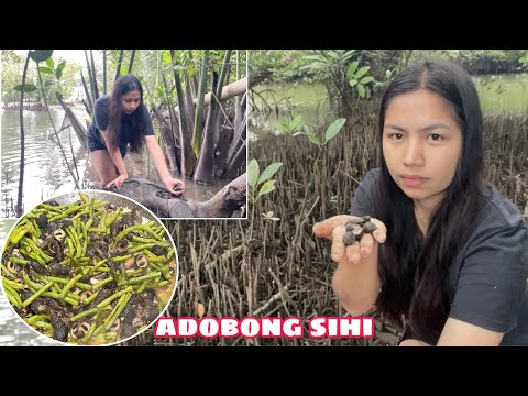 PANGUNGUHA NG SIHI | ADOBONG SIHI SA GATA NA MAY SITAW