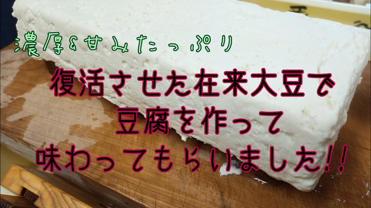 復活させた在来大豆で豆腐作り:昔の味を再現できるか？