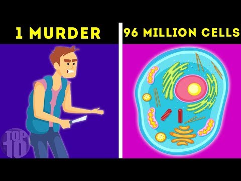 What Happens Every 60 Seconds?