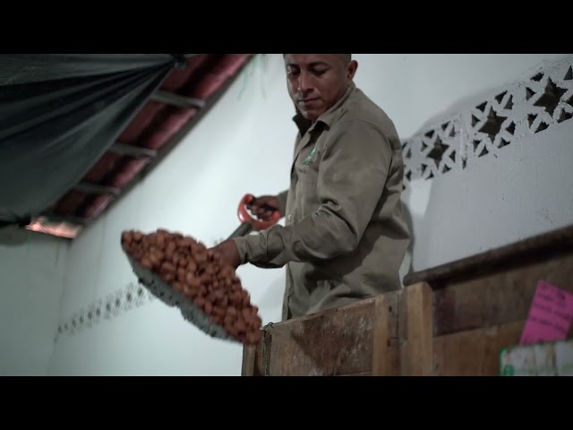 imagen-video-thefoodtech