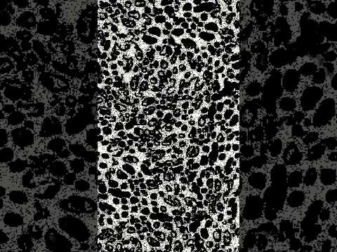 !OUTDATED! Dread is actually real—Doors #Doors #dread #Roblox