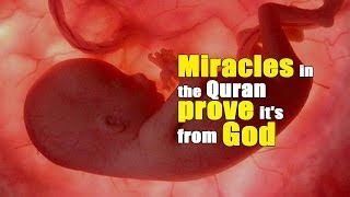 100 % proof that the Qur'an in from God. This is a Must see for any person who wants to make sure that the Qur'an is from ...