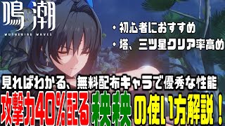 【鳴潮】攻撃力40％上昇！★3武器でもOK！編成の”バッファー”で扱いやすい無料キャラ『秧秧』の使い方を解説！/音骸/武器/凸効果【初心者必見】