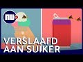 Waarom er aan het eind van de zomer altijd een wespenplaag is
